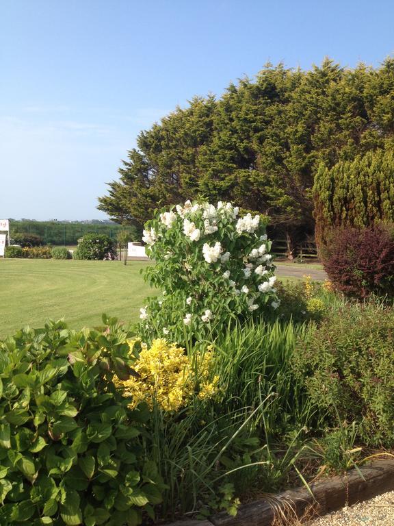 Abrae House Guest House Rosslare Harbour Kültér fotó